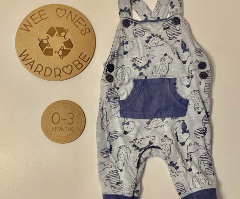 79BA06D0-3439-4598-8F91-41307A0AB79E